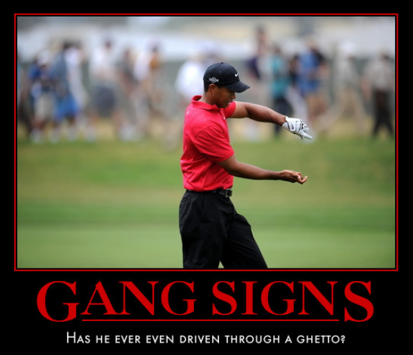 There are more golf memes made about Tiger Woods or using his image than an...
